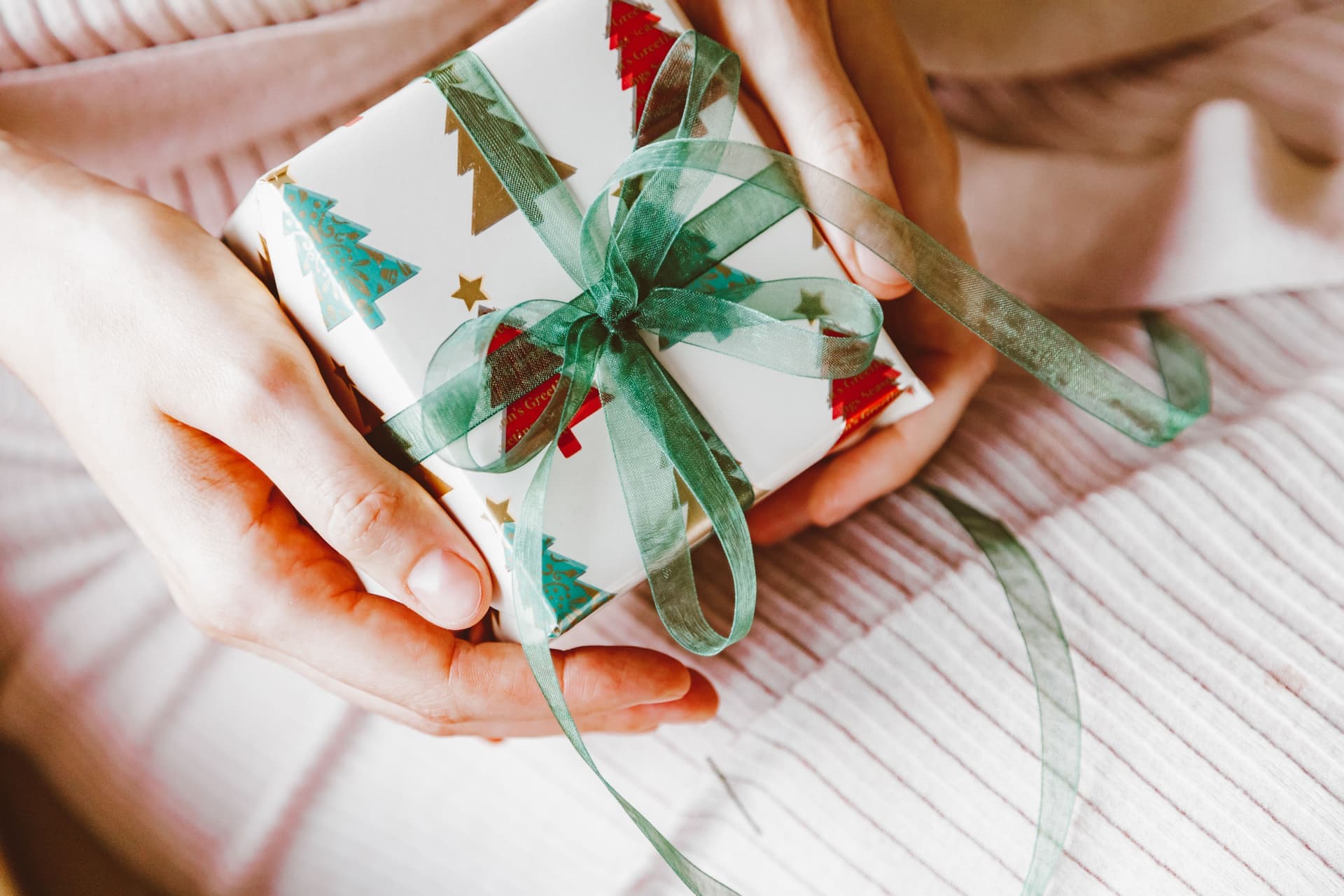 Hands holding a book wrapped as a gift