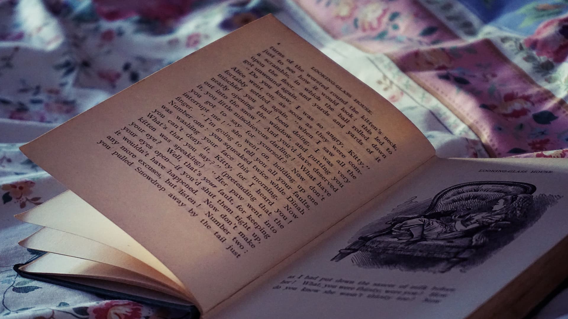 A close-up of a printed page lit by warm light